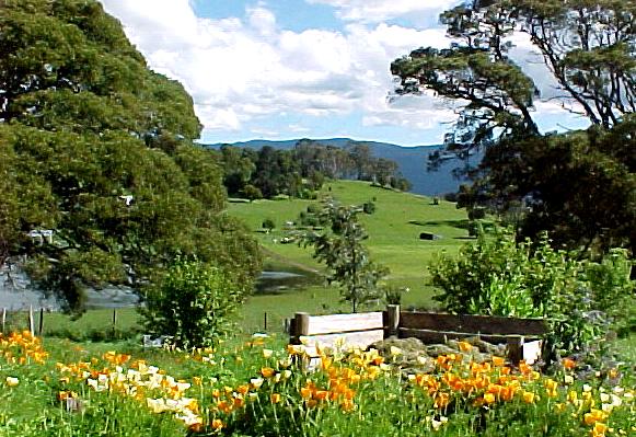 taz4j.JPG (76563 bytes)