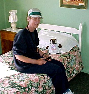 taz4k.JPG (32694 bytes)