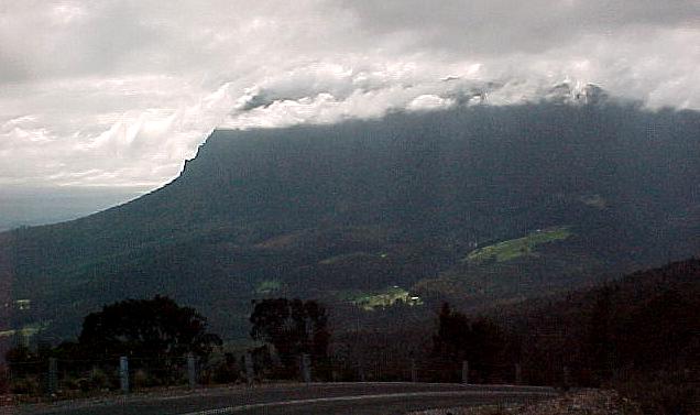 taz5.JPG (32482 bytes)