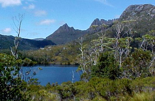 taz5b.JPG (43167 bytes)