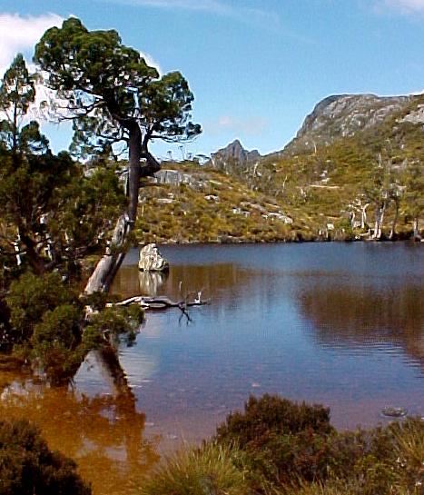 taz5c.JPG (57706 bytes)