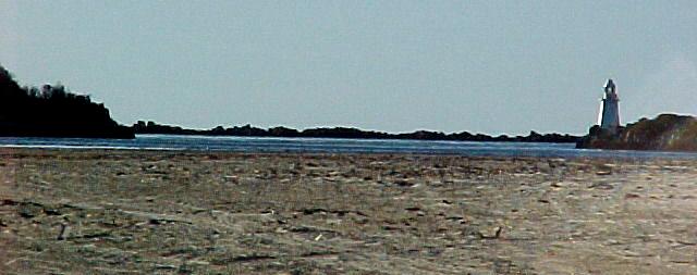 taz5h.JPG (28838 bytes)