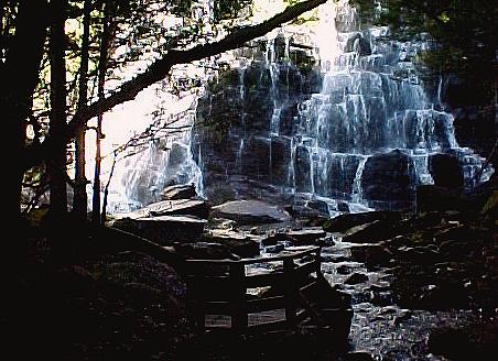 taz6c.JPG (45465 bytes)