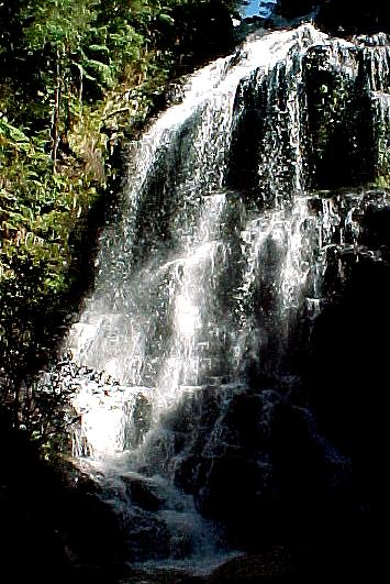 taz6d.JPG (58605 bytes)