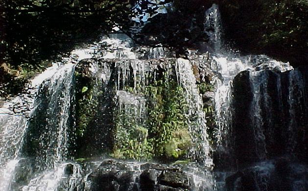 taz6e.JPG (79342 bytes)