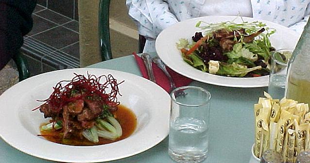 taz6i.JPG (50718 bytes)