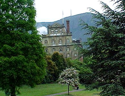 taz6k.JPG (48039 bytes)