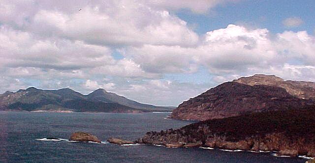 taz6q.JPG (33763 bytes)