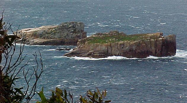 taz6r.JPG (56400 bytes)