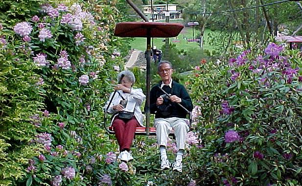 taz7a.JPG (106659 bytes)