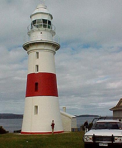 taz7c.JPG (32588 bytes)