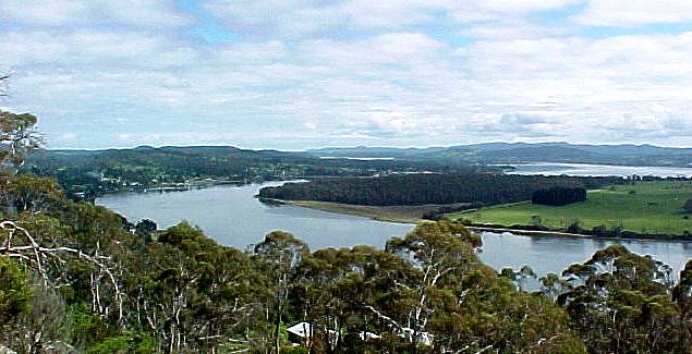 taz7d.JPG (51373 bytes)