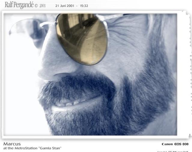 webpic4.JPG (35800 bytes)