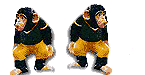 Dancing Chimps
