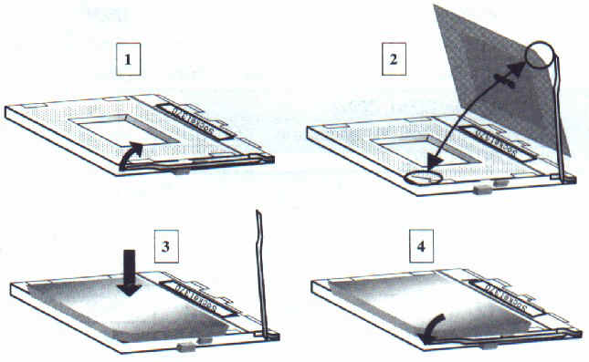 PrMnt.jpg (60023 bytes)