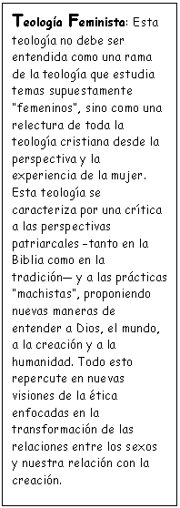 Cuadro de texto: Teolog�a Feminista: Esta teolog�a no debe ser entendida como una rama de la teolog�a que estudia temas supuestamente �femeninos�, sino como una relectura de toda la teolog�a cristiana desde la perspectiva y la experiencia de la mujer. Esta teolog�a se caracteriza por una cr�tica a las perspectivas patriarcales �tanto en la Biblia como en la tradici�n� y a las pr�cticas �machistas�, proponiendo nuevas maneras de entender a Dios, el mundo, a la creaci�n y a la humanidad. Todo esto repercute en nuevas visiones de la �tica enfocadas en la transformaci�n de las relaciones entre los sexos y nuestra relaci�n con la creaci�n.