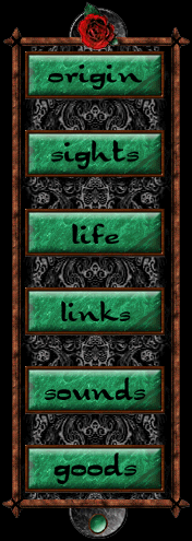 - c h o o s e y o u r p a t h -