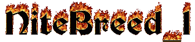 nitebreedbanner