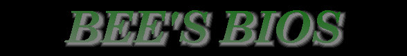 newbeesbios1a001012.jpg