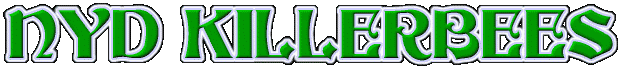 newnydheadercoollogo.gif