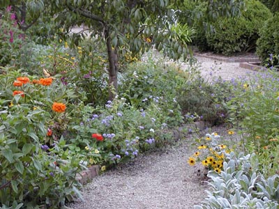 Profusion of flowers with a butterfly