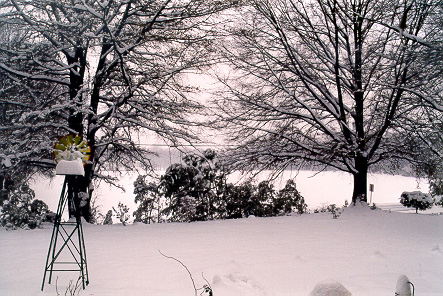 Windmill on the South Lawn, January 2002