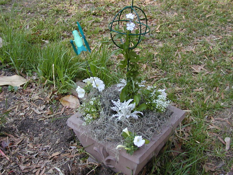 Container in the Moon Garden