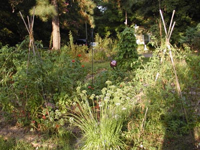 Veggie Garden, Fall 2003