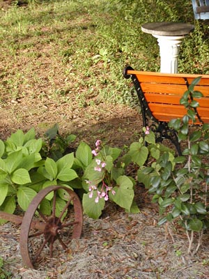Swing Bed, Fall 2003