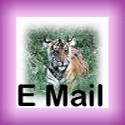 E mail