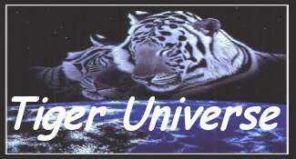 Tiger Universe