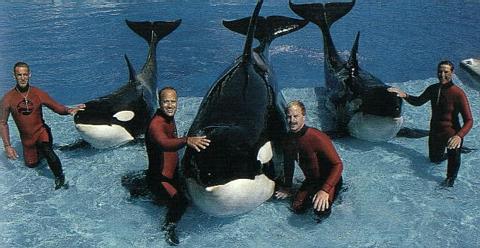 Splash, Corky, & Ulises