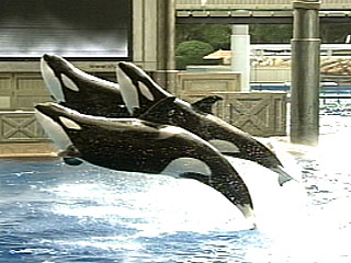 Taku, Unna, & Katina