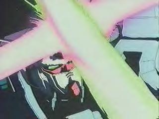 Nice block, Zephyranthes.