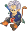 images/trunks17.gif (20910 bytes)