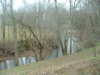 Creek in Leipers Fork