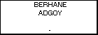 BERHANE ADGOY