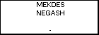 MEKDES NEGASH