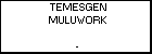 TEMESGEN MULUWORK