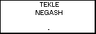 TEKLE NEGASH