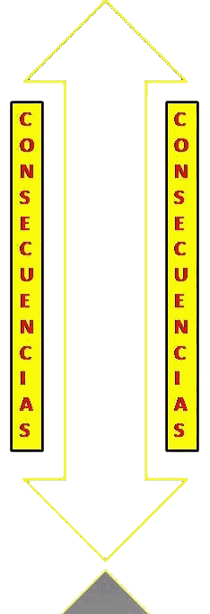 CONSECUENCIAS