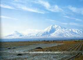 ararat