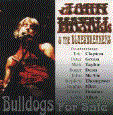 BULLDOGS FOR SALE - John Mayall