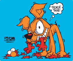 O� �a le pitbull?