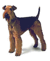 Je joue des tours, moi?