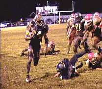 ele2.JPG (9305 bytes)