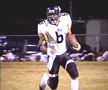 neporun.JPG (7250 bytes)