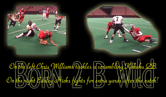 kahuku1.gif (87360 bytes)