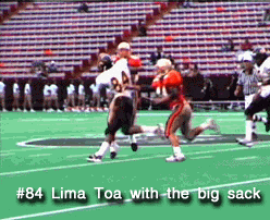 limatoasack1.jpg (58699 bytes)