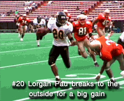 pau1.gif (57470 bytes)